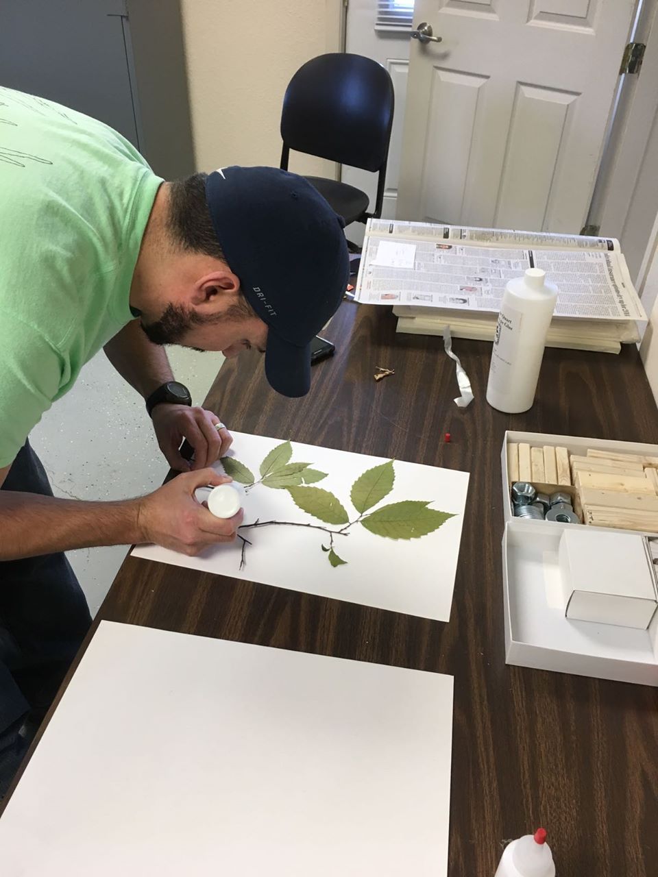 Managing an herbarium